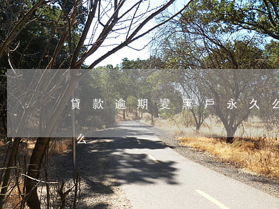 貸款逾期變黑戶永久么(貸款逾期變黑戶永久么)