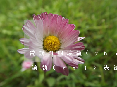 貸款逾期讓執(zhí)法辦抓人(貸款逾期讓執(zhí)法辦抓人)