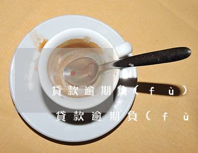 貸款逾期負(fù)什么法律責(zé)任(貸款逾期負(fù)什么法律責(zé)任)