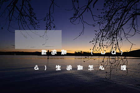 貸款逾期財務(wù)處理步驟(貸款發(fā)生逾期,怎么處理)