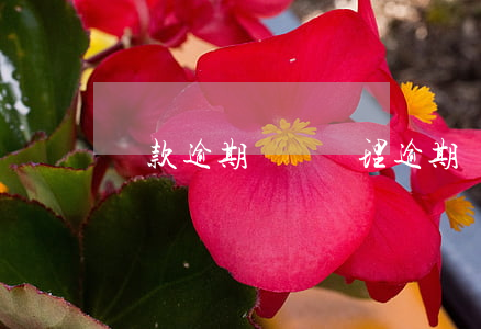 貸款逾期財務處理(逾期貸款會計分錄)