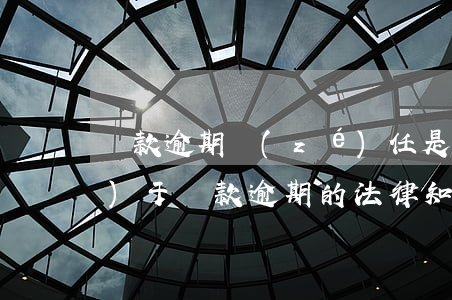 貸款逾期責(zé)任是什么(關(guān)于貸款逾期的法律知識)