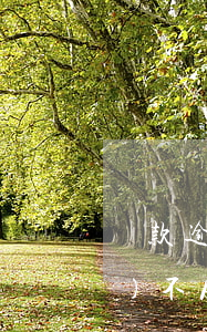 貸款逾期責(zé)任（逾期貸款追責(zé)不及時(shí)）