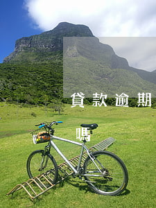 貸款逾期買房受影響嗎(貸款逾期買房受影響嗎)