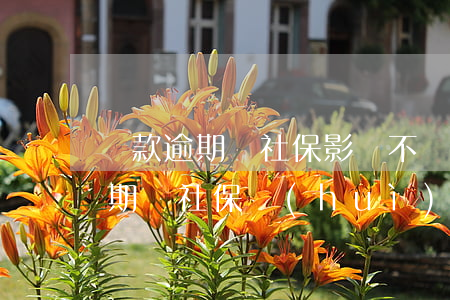 貸款逾期買社保影響不(網(wǎng)貸逾期買社保會(huì)不會(huì)聯(lián)系公司)