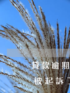 貸款逾期貸款公司向法院起訴 貸款合同逾期被起訴了,我在開庭前