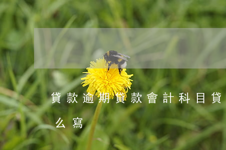 貸款逾期貸款會計科目(貸款逾期會計分錄怎么寫)