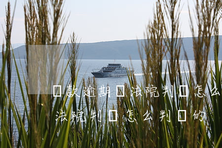 貸款逾期費法院判決怎么判決的（貸款逾期費法院判決怎么判決的）