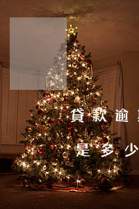 貸款逾期費用有標準碼(貸款逾期違約金一般是多少)