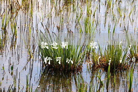 貸款逾期賬戶被凍結(jié)嗎(貸款逾期銀行可以凍結(jié)我的賬戶嗎)