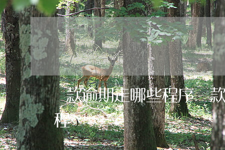 貸款逾期走哪些程序(貸款逾期處理的基本流程)