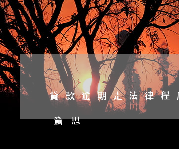 貸款逾期走法律程序(貸款逾期走流程是什么意思)