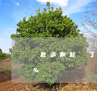 貸款逾期起訴了怎么辦（欠款逾期被起訴該怎么辦）
