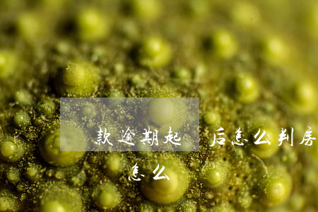 貸款逾期起訴后怎么判(房子貸款逾期了被起訴該怎么辦)
