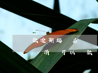 貸款逾期起訴后還錢(銀行貸款逾期被起訴后來還清還可以貸款嗎)