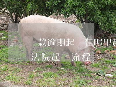 貸款逾期起訴在哪里起訴離婚程序(貸款逾期法院起訴流程)