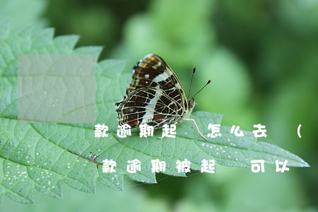 貸款逾期起訴怎么去調(diào)解(房屋貸款逾期被起訴可以協(xié)商解決嗎)