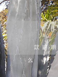 貸款逾期起訴我怎么處理(貸款逾期被起訴怎么辦)