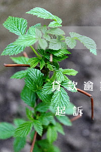 貸款逾期起訴有限期多久(貸款逾期多久可以起訴)