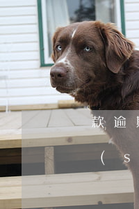 貸款逾期起訴流程需要多長(zhǎng)時(shí)間(貸款逾期起訴流程需要多長(zhǎng)時(shí)間)