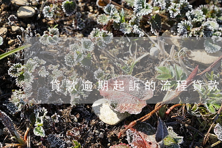 貸款逾期起訴的流程(貸款逾期被起訴的流程)