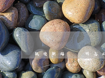 貸款逾期起訴說明怎么寫(逾期貸款情況說明)