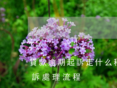 貸款逾期起訴走什么程序(銀行貸款逾期被起訴處理流程)