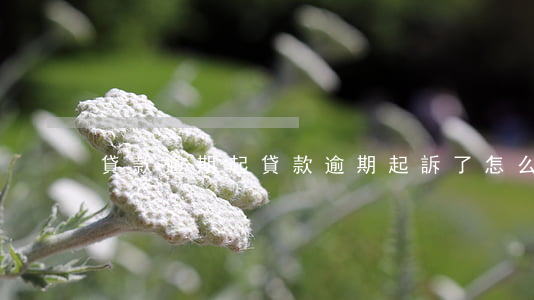 貸款逾期起,貸款逾期起訴了怎么辦 貸款逾期起,貸款逾期起訴了怎么辦