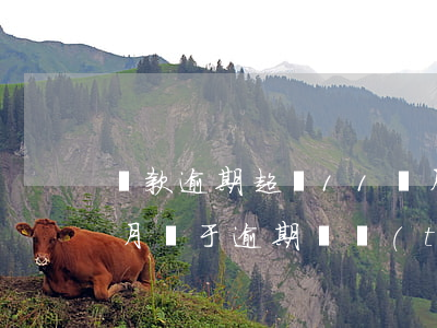 貸款逾期超過11個月(連續(xù)12個月處于逾期狀態(tài))