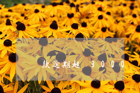貸款逾期超過3000(貸款逾期限高)