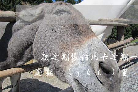 貸款逾期跟信用卡逾期一樣嗎（信用卡貸款都逾期嚴(yán)重會(huì)怎么樣）