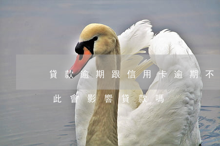 貸款逾期跟信用卡逾期不一樣（信用卡逾期1此會影響貸款嗎）