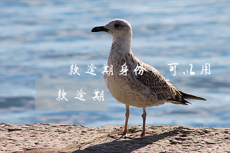 貸款逾期身份證可以用嗎(別人用我身份證貸款逾期)