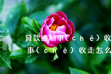 貸款逾期車(chē)收走怎么辦(貸款逾期車(chē)收走怎么辦)