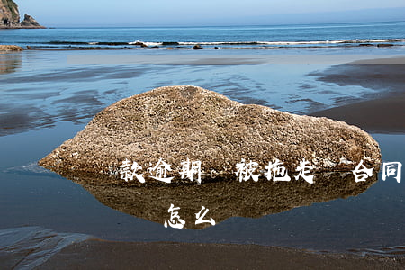 貸款逾期車被拖走沒合同(車貸沒還被拖走了應該怎么辦)
