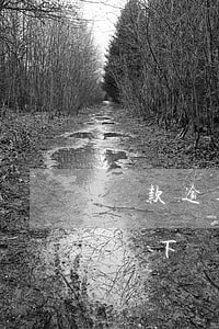 貸款逾期轉(zhuǎn)為線下處理(線上線下貸款全被拒怎么辦)