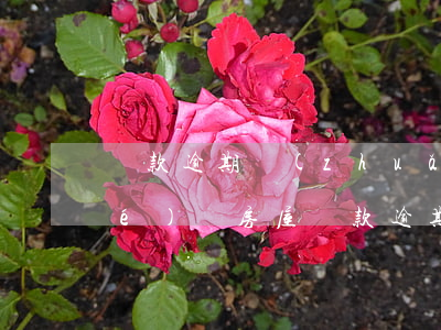 貸款逾期轉(zhuǎn)讓房屋協(xié)議(房屋貸款逾期被起訴可以協(xié)商解決嗎)