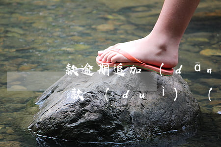 貸款逾期追加擔(dān)保人(貸款人逾期還款對(duì)擔(dān)保人有什么后果)