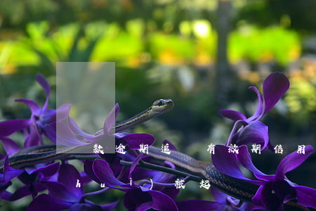 貸款逾期追訴有效期(信用貸款逾期多久會(huì)被起訴)