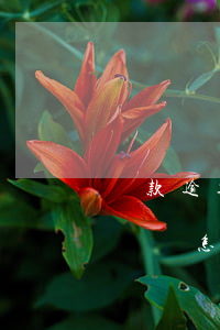 貸款逾期通知公司家人(貸款逾期給家里人打電話怎么辦)