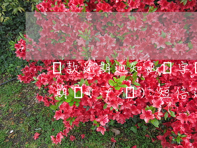 貸款逾期通知函簽字時(shí)間(貸款逾期發(fā)短信通知開庭)