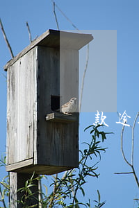 貸款逾期通知去綜治辦(貸款逾期通知去綜治辦)