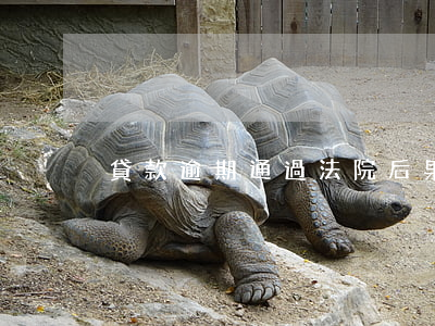 貸款逾期通過法院后果