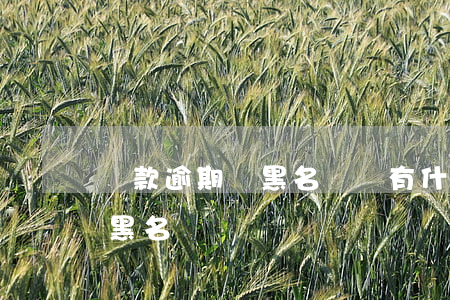 貸款逾期進黑名單會有什么后果（貸款逾期進黑名單）