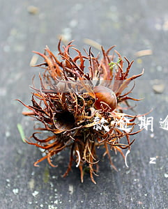 貸款逾期逾期費(fèi)用標(biāo)準(zhǔn)(利息逾期算逾期貸款嗎)
