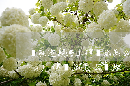 貸款逾期遇上律師函怎么辦 貸款逾期發(fā)律師函怎么處理