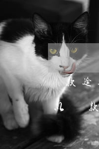 貸款逾期過后怎么還(貸款逾期還了以后還可以貸款嗎)