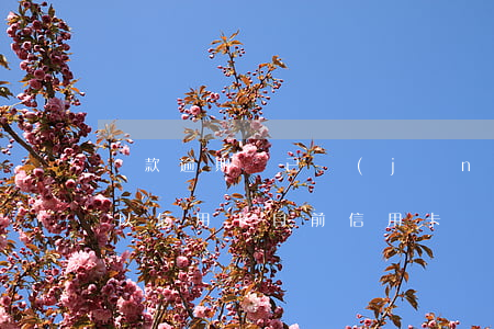 貸款逾期過,已經(jīng)還清了多久可以信用卡（目前信用卡還款可以逾期幾天）