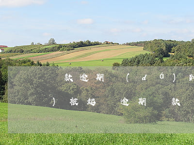 貸款逾期達(dá)到什么條件會(huì)被起訴(逾期貸款會(huì)被起訴嗎)
