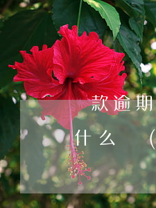 貸款逾期違反什么發(fā)(貸款逾期違反什么發(fā))